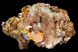 Wulfenite Crystal Cluster on Calcite - Mexico #139794-1